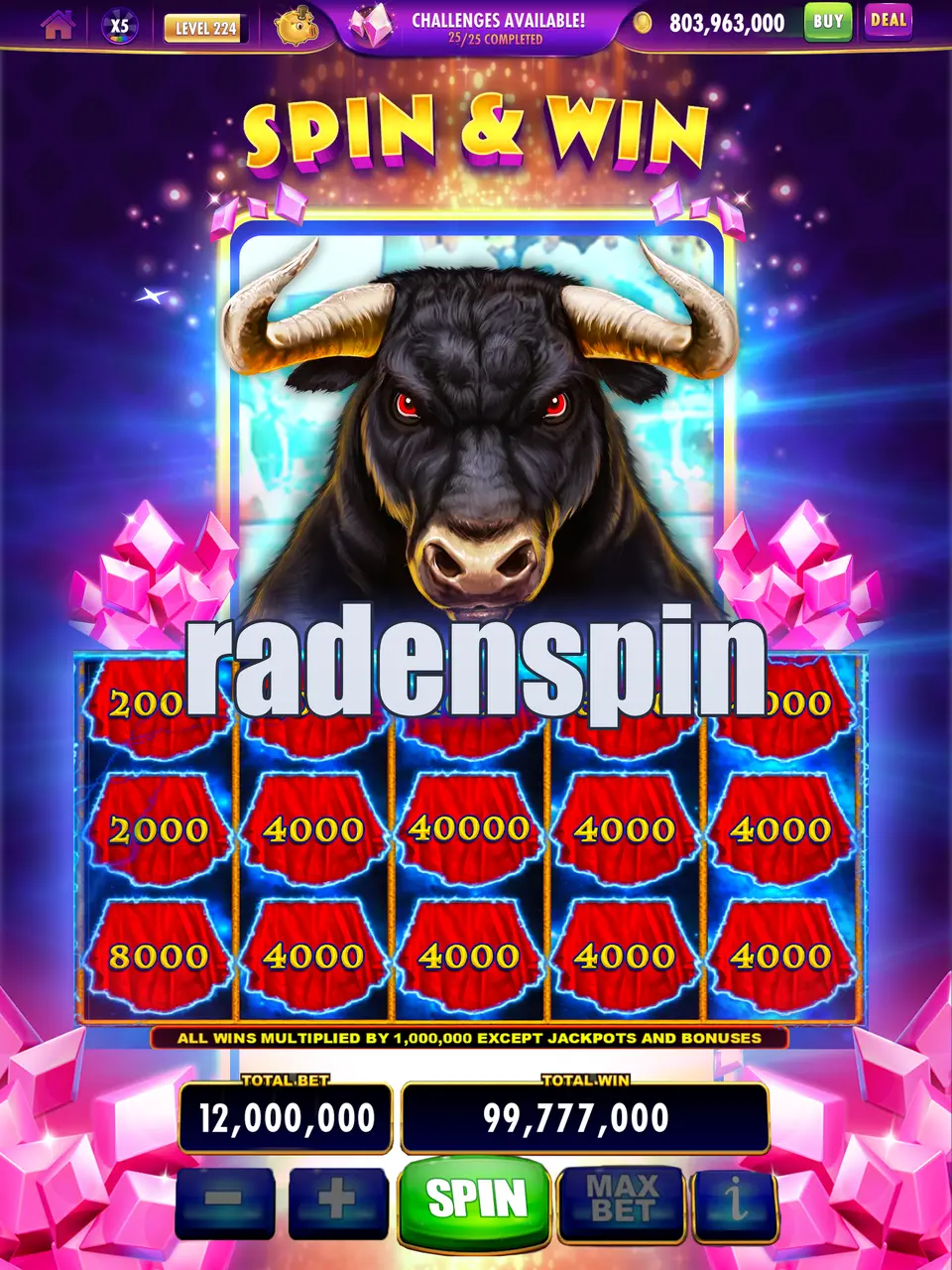 radenspin APK